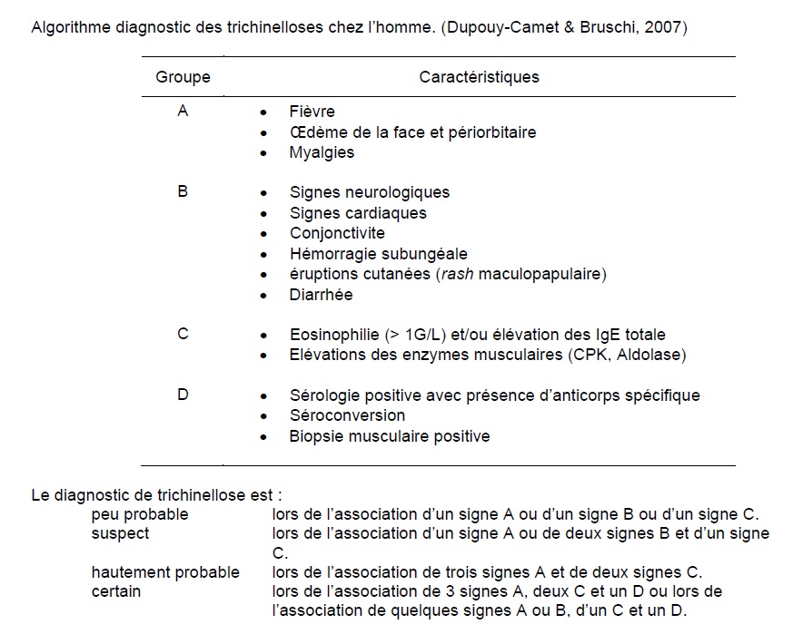 Algorithme de diagnostic de la trichinellose