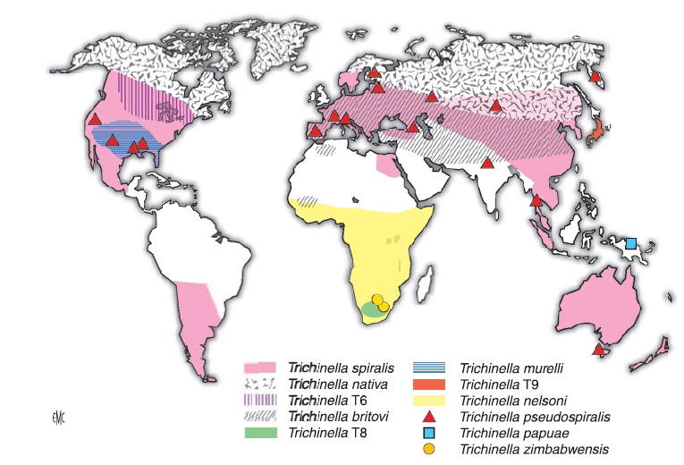 Carte des foyers épidémiques de trichinellose dans le monde